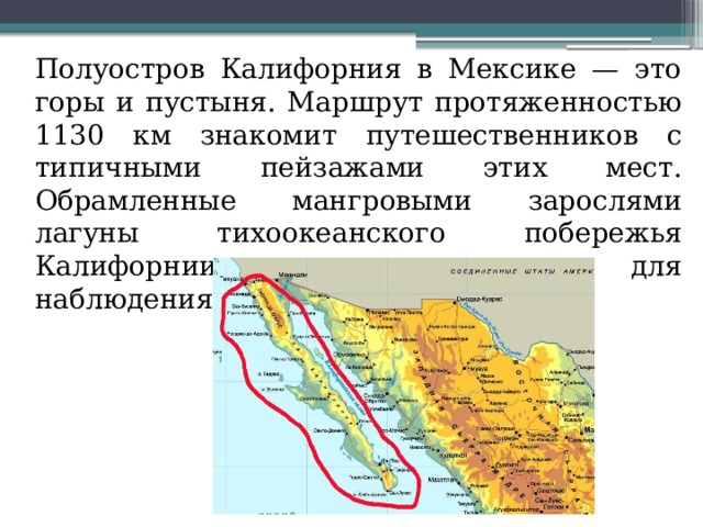  Полуостров Калифорния в Мексике — это горы и пустыня. Маршрут протяженностью 1130 км знакомит путешественников с типичными пейзажами этих мест. Обрамленные мангровыми зарослями лагуны тихоокеанского побережья Калифорнии — идеальное место для наблюдения за китами 