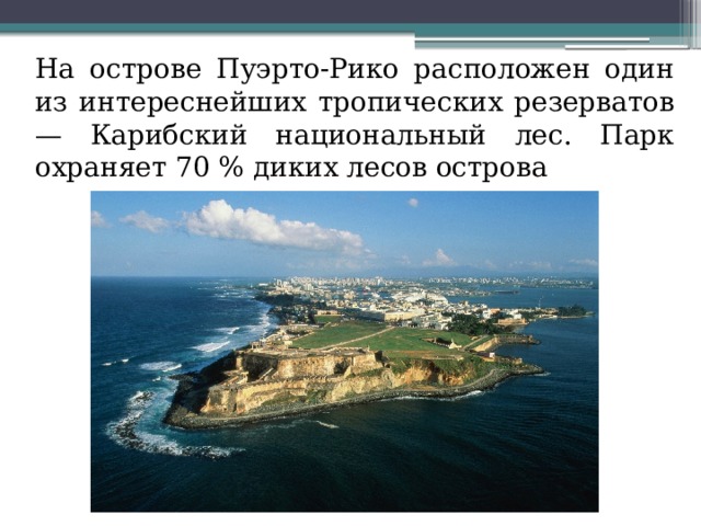  На острове Пуэрто-Рико расположен один из интереснейших тропических резерватов — Карибский национальный лес. Парк охраняет 70 % диких лесов острова 