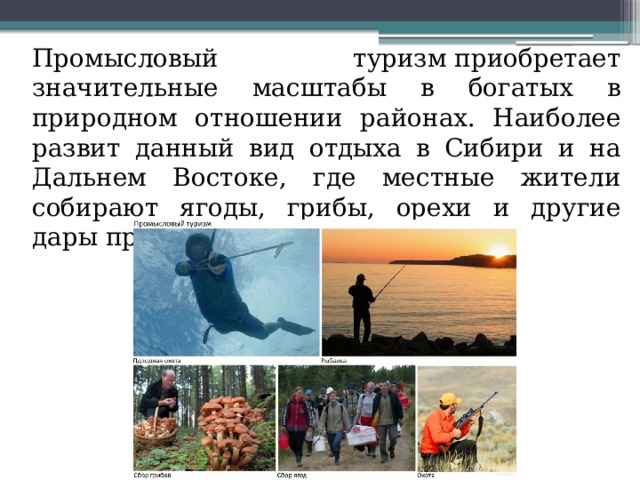  Промысловый туризм приобретает значительные масштабы в богатых в природном отношении районах. Наиболее развит данный вид отдыха в Сибири и на Дальнем Востоке, где местные жители собирают ягоды, грибы, орехи и другие дары природы 