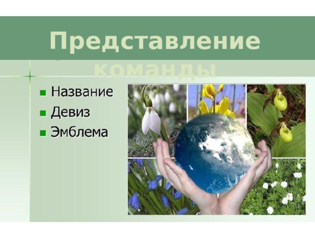 Представление команды 