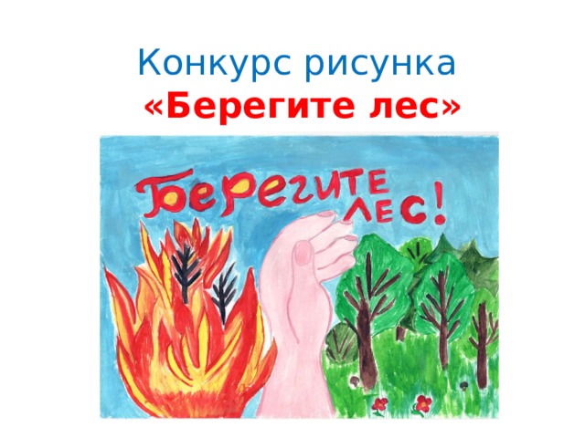 Конкурс рисунка   «Берегите лес» 