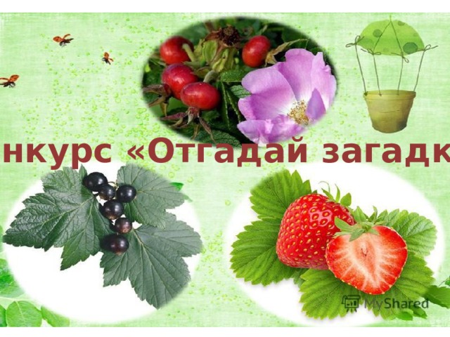 Конкурс «Отгадай загадки» 