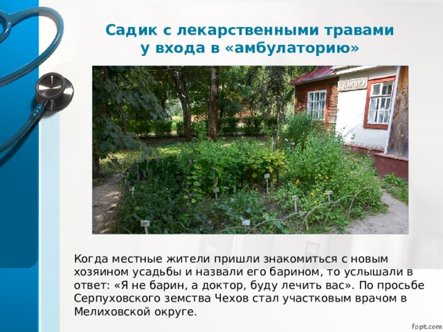 Садик с лекарственными травами у входа в «амбулаторию» Когда местные жители пришли знакомиться с новым хозяином усадьбы и назвали его барином, то услышали в ответ: «Я не барин, а доктор, буду лечить вас». По просьбе Серпуховского земства Чехов стал участковым врачом в Мелиховской округе. 