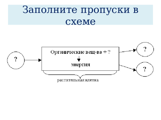 Заполните пропуски в схеме 