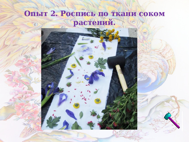 Опыт 2. Роспись по ткани соком растений. 