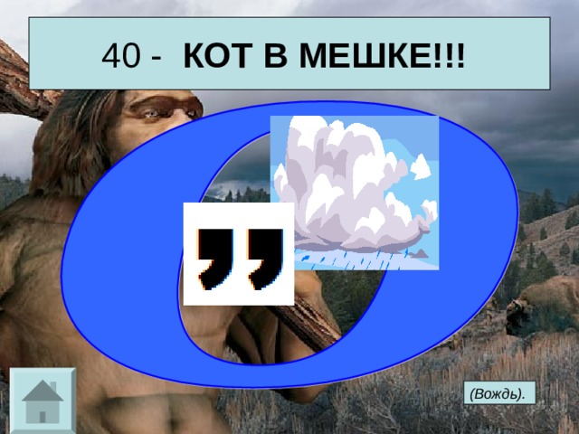40 - КОТ В МЕШКЕ!!!  (Вождь).  