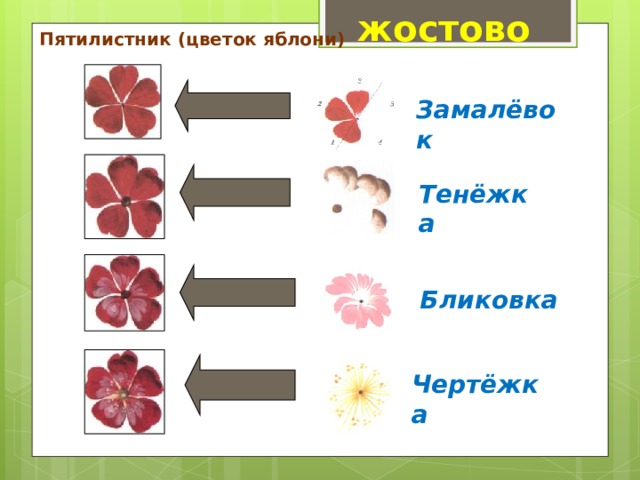 жостово Пятилистник (цветок яблони) Замалёвок Тенёжка  Бликовка Чертёжка 