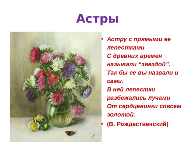 Астры Астру с прямыми ее лепестками   С древних времен называли “звездой”.   Так бы ее вы назвали и сами.   В ней лепестки разбежались лучами   От сердцевинки совсем золотой.  (В. Рождественский) 