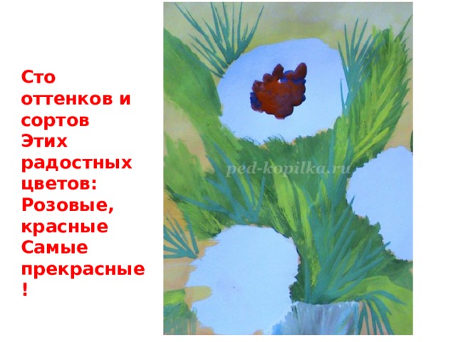 Сто оттенков и сортов Этих радостных цветов: Розовые, красные Самые прекрасные! 