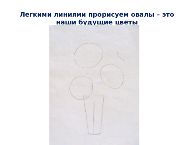 Легкими линиями прорисуем овалы – это наши будущие цветы 