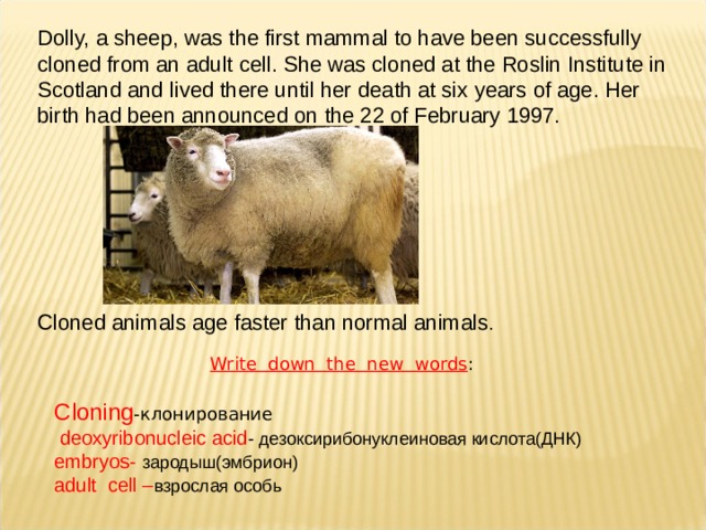 Dolly, a sheep, was the first mammal to have been successfully cloned from an adult cell. She was cloned at the Roslin Institute in Scotland and lived there until her death at six years of age. Her birth had been announced on the 22 of February 1997. Cloned animals age faster than normal animals . Write down the new words : Cloning - клонирование  deoxyribonucleic acid - дезоксирибонуклеиновая кислота(ДНК)  embryos - зародыш(эмбрион) adult cell – взрослая особь 