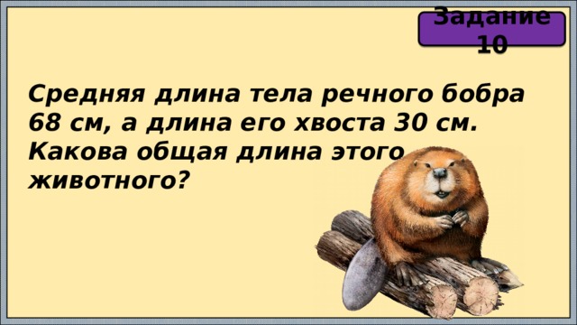 Задание 10 Средняя длина тела речного бобра 68 см, а длина его хвоста 30 см. Какова общая длина этого животного? 