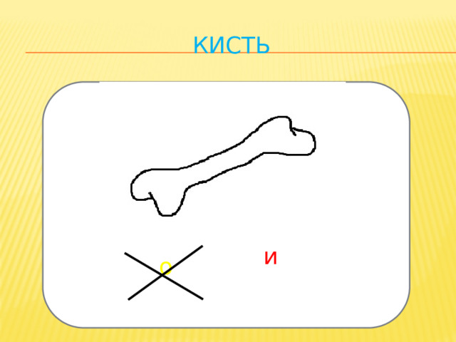 кисть и о 