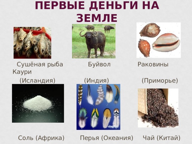 ПЕРВЫЕ ДЕНЬГИ НА ЗЕМЛЕ  Сушёная рыба Буйвол Раковины Каури  (Исландия) (Индия) (Приморье)  Соль (Африка) Перья (Океания) Чай (Китай)