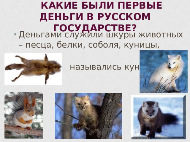 КАКИЕ БЫЛИ ПЕРВЫЕ ДЕНЬГИ В РУССКОМ ГОСУДАРСТВЕ? Деньгами служили шкуры животных – песца, белки, соболя, куницы, которые  назывались куны.
