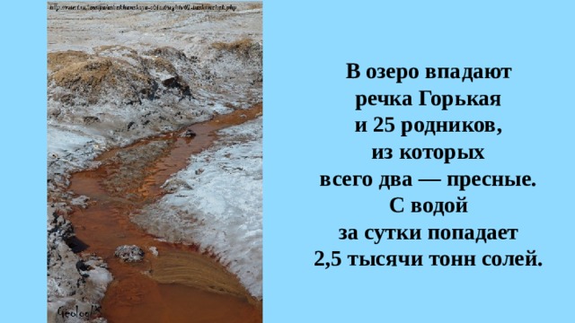 В озеро впадают  речка Горькая  и 25 родников,  из которых  всего два — пресные.  С водой  за сутки попадает  2,5 тысячи тонн солей. 