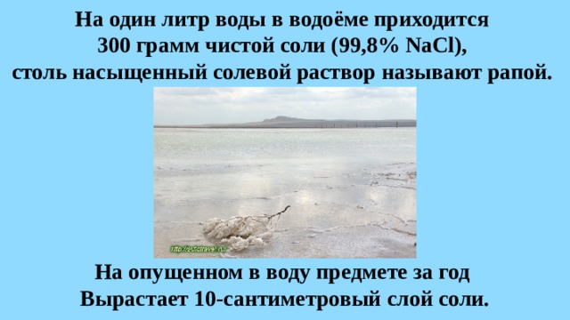 На один литр воды в водоёме приходится  300 грамм чистой соли (99,8% NaCl),  столь насыщенный солевой раствор называют рапой. На опущенном в воду предмете за год Вырастает 10-сантиметровый слой соли. 