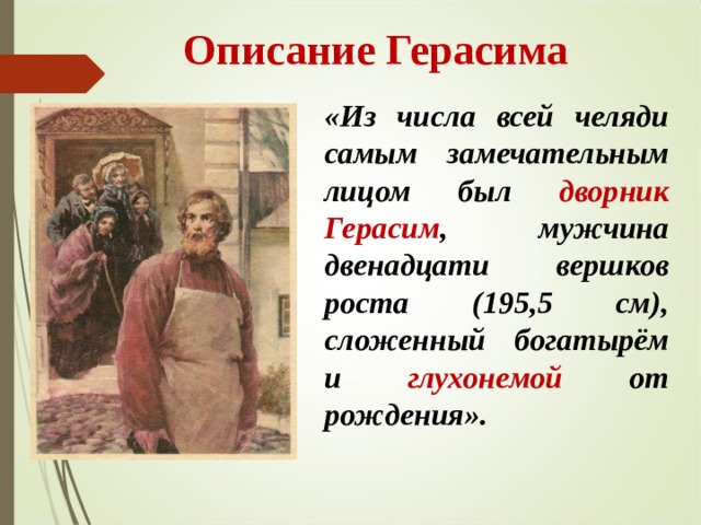  Описание Герасима «Из числа всей челяди самым замечательным лицом был дворник Герасим , мужчина двенадцати вершков роста (195,5 см), сложенный богатырём и глухонемой от рождения». 