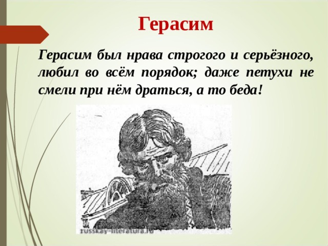  Герасим Герасим был нрава строгого и серьёзного, любил во всём порядок; даже петухи не смели при нём драться, а то беда! 