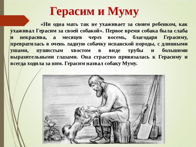  Герасим и Муму   «Ни одна мать так не ухаживает за своим ребенком, как ухаживал Герасим за своей собакой». Первое время собака была слаба и некрасива, а месяцев через восемь, благодаря Герасиму, превратилась в очень ладную собачку испанской породы, с длинными ушами, пушистым хвостом в виде трубы и большими выразительными глазами. Она страстно привязалась к Герасиму и всегда ходила за ним. Герасим назвал собаку Муму.  