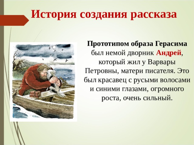  История создания рассказа Прототипом  образа Герасима был немой дворник Андрей , который жил у Варвары Петровны, матери писателя. Это был красавец с русыми волосами и синими глазами, огромного роста, очень сильный. 