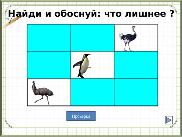 Найди и обоснуй: что лишнее ? Проверка 