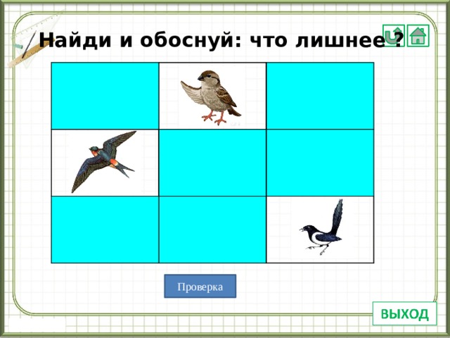 Найди и обоснуй: что лишнее ? Проверка 