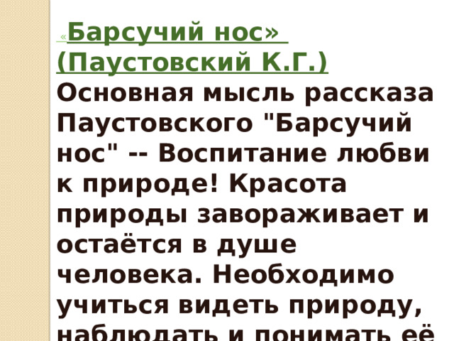 « Барсучий нос» (Паустовский К.Г.) Основная мысль рассказа Паустовского 