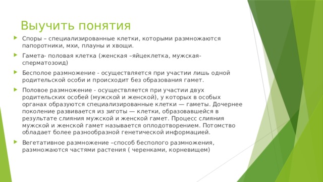 Выучить понятия Споры – специализированные клетки, которыми размножаются папоротники, мхи, плауны и хвощи. Гамета- половая клетка (женская –яйцеклетка, мужская-сперматозоид) Бесполое размножение - осуществляется при участии лишь одной родительской особи и происходит без образования гамет. Половое размножение - осуществляется при участии двух родительских особей (мужской и женской), у которых в особых органах образуются специализированные клетки — гаметы. Дочернее поколение развивается из зиготы — клетки, образовавшейся в результате слияния мужской и женской гамет. Процесс слияния мужской и женской гамет называется оплодотворением. Потомство обладает более разнообразной генетической информацией. Вегетативное размножение –способ бесполого размножения, размножаются частями растения ( черенками, корневищем) 