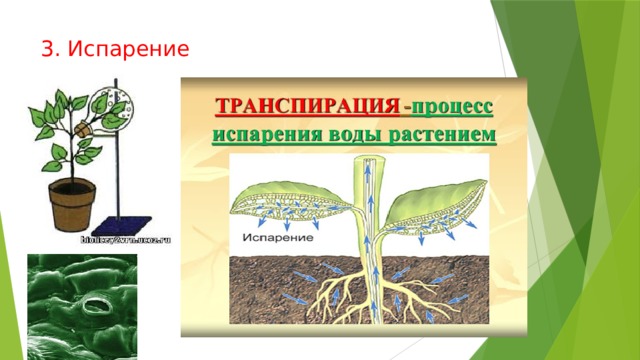 3. Испарение 