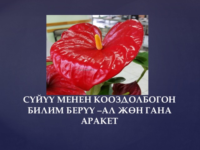 СҮЙҮҮ МЕНЕН КООЗДОЛБОГОН БИЛИМ БЕРҮҮ –АЛ ЖӨН ГАНА АРАКЕТ 