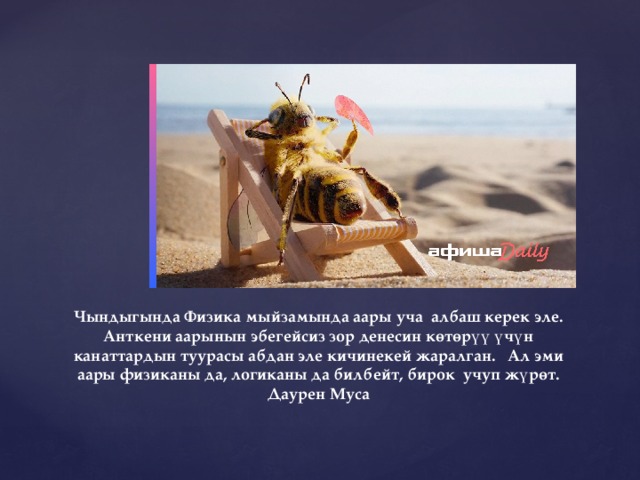 Чындыгында Физика мыйзамында аары уча албаш керек эле. Анткени аарынын эбегейсиз зор денесин көтөрүү үчүн канаттардын туурасы абдан эле кичинекей жаралган. Ал эми аары физиканы да, логиканы да билбейт, бирок учуп жүрөт. Даурен Муса 