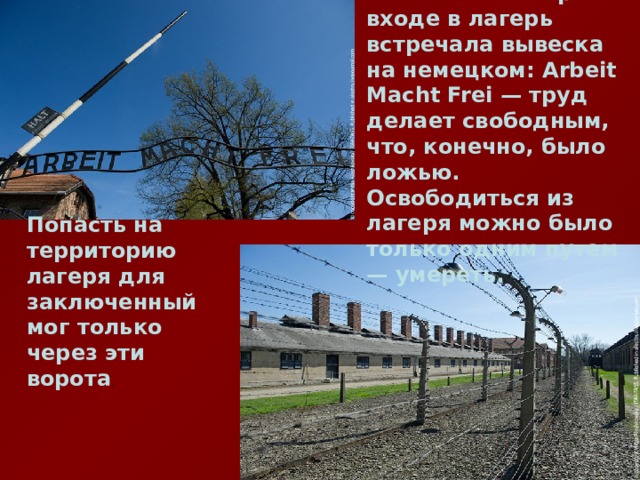  Новых заключенных при входе в лагерь встречала вывеска на немецком: Arbeit Macht Frei — труд делает свободным, что, конечно, было ложью. Освободиться из лагеря можно было только одним путем — умереть.  Попасть на территорию лагеря для заключенный мог только через эти ворота . 