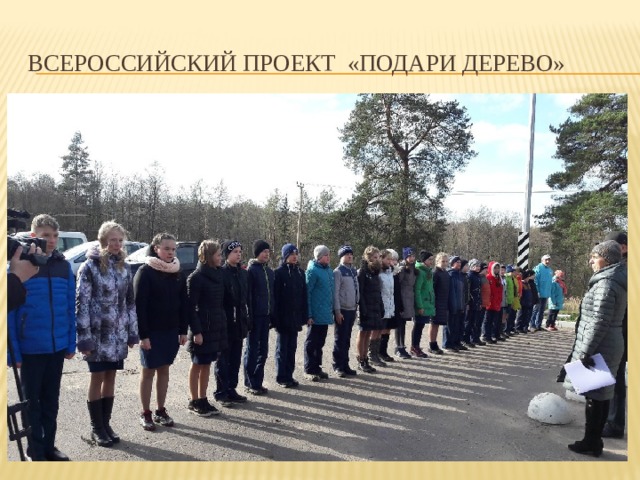 Всероссийский проект «подари дерево» 