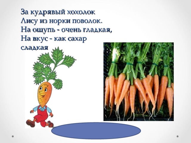 За кудрявый хохолок  Лису из норки поволок.  На ощупь - очень гладкая,  На вкус - как сахар сладкая 