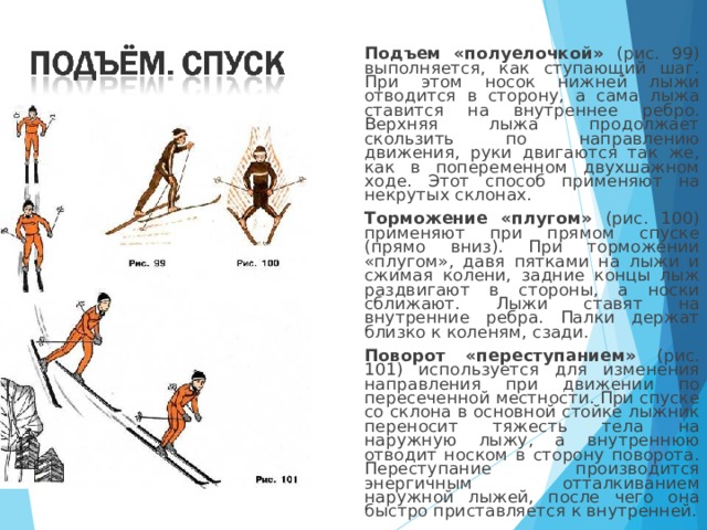  Подъем «полуелочкой» (рис. 99) выполняется, как ступающий шаг. При этом носок нижней лыжи отводится в сторону, а сама лыжа ставится на внутреннее ребро. Верхняя лыжа продолжает скользить по направлению движения, руки двигаются так же, как в попеременном двухшажном ходе. Этот способ применяют на некрутых склонах.  Торможение «плугом» (рис. 100) применяют при прямом спуске (прямо вниз). При торможении «плугом», давя пятками на лыжи и сжимая колени, задние концы лыж раздвигают в стороны, а носки сближают. Лыжи ставят на внутренние ребра. Палки держат близко к коленям, сзади.  Поворот «переступанием» (рис. 101) используется для изменения направления при движении по пересеченной местности. При спуске со скло­на в основной стойке лыжник переносит тяжесть тела на наружную лыжу, а внутреннюю отводит носком в сторону поворота. Переступание производится энергичным отталкиванием наружной лыжей, после чего она быстро приставляется к внутренней. 
