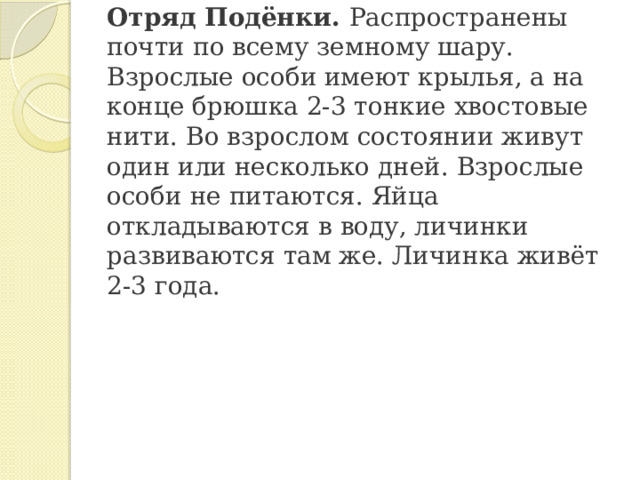 Отряд Подёнки. Распространены почти по всему земному шару. Взрослые особи имеют крылья, а на конце брюшка 2-3 тонкие хвостовые нити. Во взрослом состоянии живут один или несколько дней. Взрослые особи не питаются. Яйца откладываются в воду, личинки развиваются там же. Личинка живёт 2-3 года. 