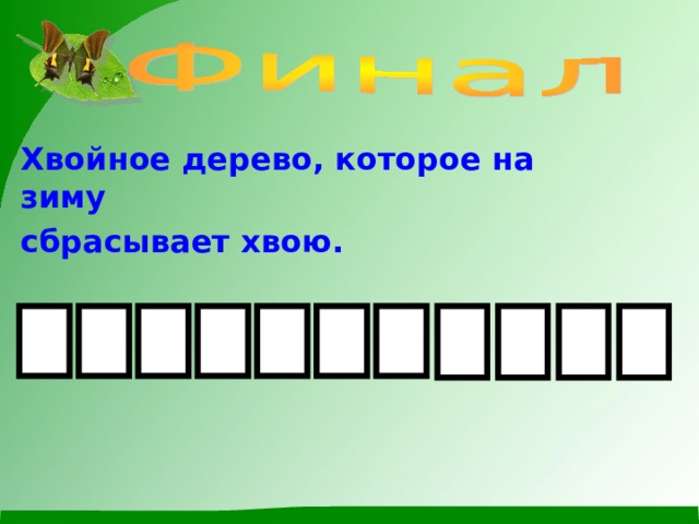 Хвойное дерево, которое на зиму сбрасывает хвою. 