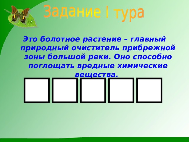 Это болотное растение – главный природный очиститель прибрежной зоны большой реки. Оно способно поглощать вредные химические вещества.   