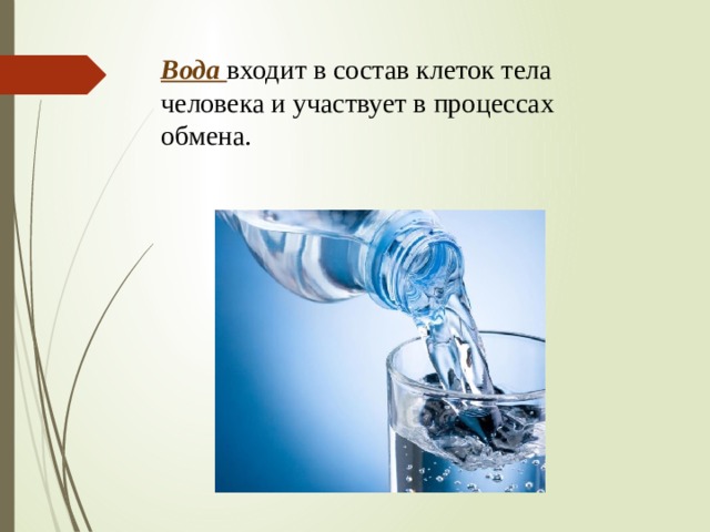  Вода  входит в состав клеток тела человека и участвует в процессах обмена.      