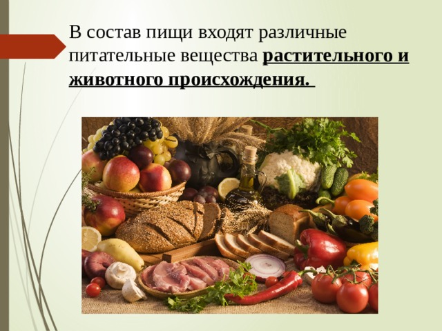 В состав пищи входят различные питательные вещества растительного и животного происхождения. 