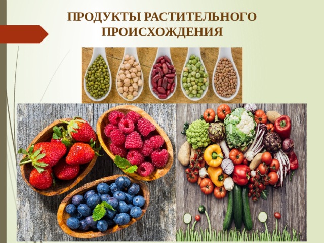 ПРОДУКТЫ РАСТИТЕЛЬНОГО ПРОИСХОЖДЕНИЯ 
