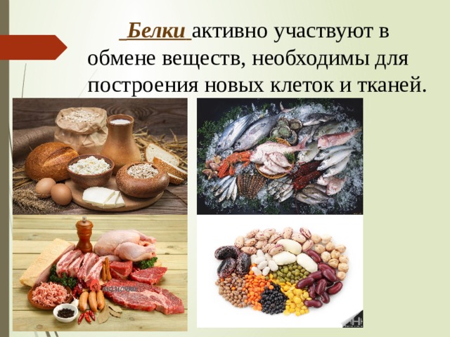   Белки  активно участвуют в обмене веществ, необходимы для построения новых клеток и тканей. 