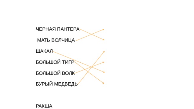 ЧЕРНАЯ ПАНТЕРА  МАТЬ ВОЛЧИЦА ШАКАЛ БОЛЬШОЙ ТИГР БОЛЬШОЙ ВОЛК БУРЫЙ МЕДВЕДЬ РАКША БАГИРА БАЛУ АКЕЛА ТАБАКИ ШЕР-ХАН 