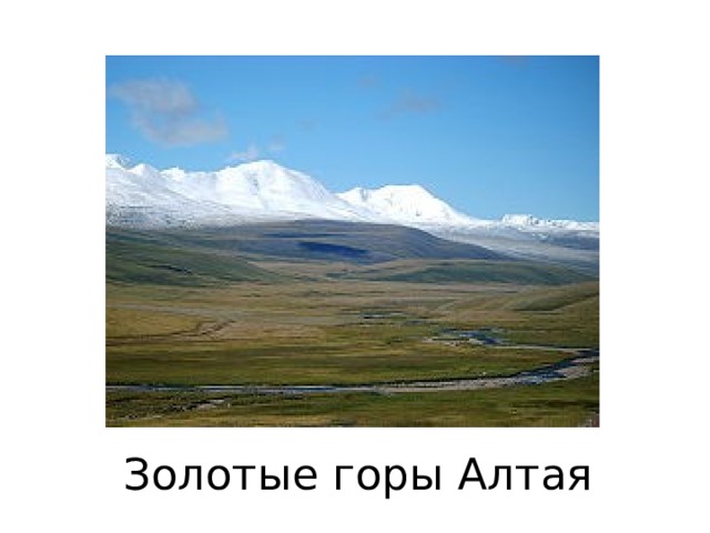Золотые горы Алтая 