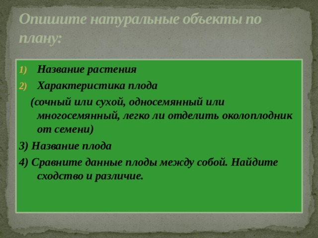 Опишите натуральные объекты по плану: Название растения Характеристика плода  (сочный или сухой, односемянный или многосемянный, легко ли отделить околоплодник от семени) 3) Название плода 4) Сравните данные плоды между собой. Найдите сходство и различие.  