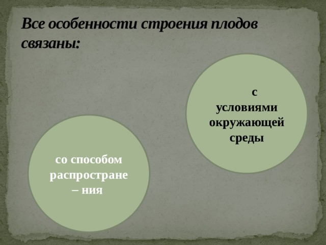 Все особенности строения плодов связаны:      с условиями окружающей среды со способом распростране – ния  
