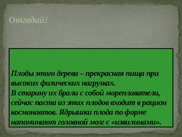 Отгадай! Плоды этого дерева – прекрасная пища при высоких физических нагрузках.  В старину их брали с собой мореплаватели, сейчас паста из этих плодов входит в рацион космонавтов. Ядрышки плода по форме напоминают головной мозг с «извилинами».  