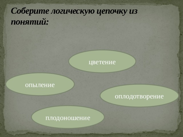 Соберите логическую цепочку из понятий: цветение опыление оплодотворение плодоношение  