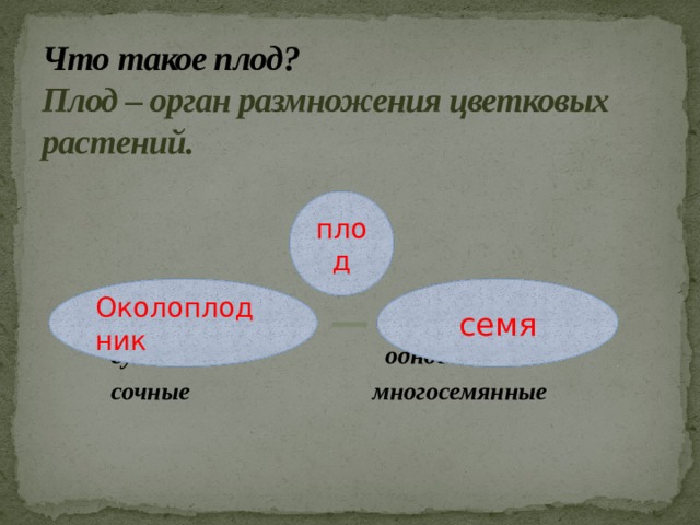 Что такое плод?  Плод – орган размножения цветковых растений.  сухие односемянные  сочные многосемянные плод Околоплодник семя  